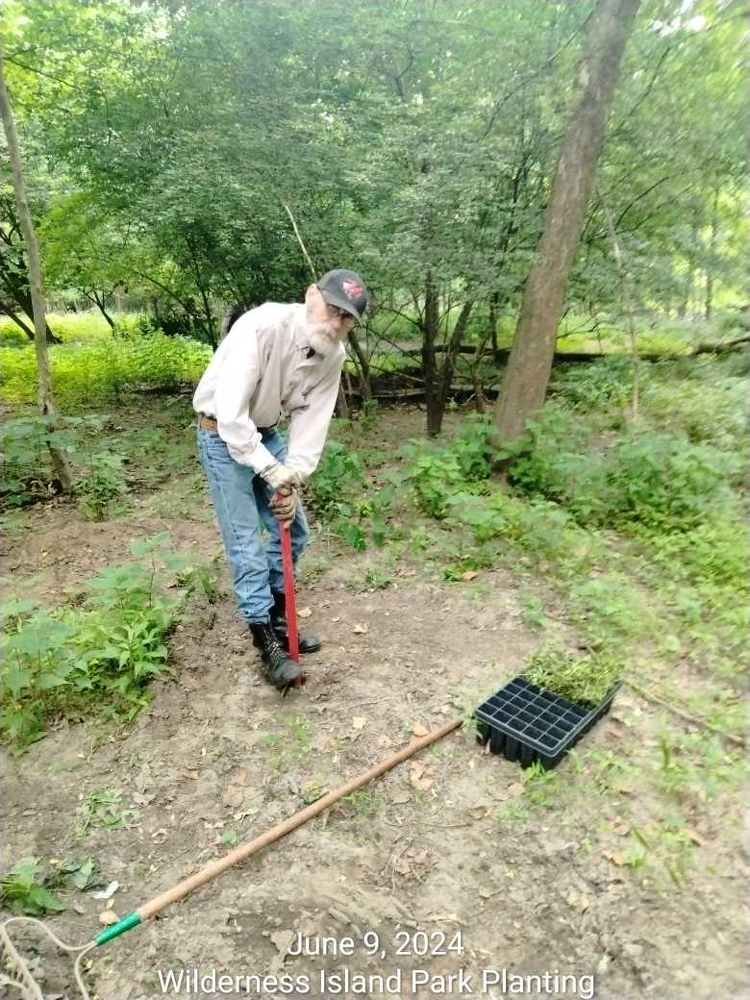 Various pictures of Wilderness Park getting cleaned up on June 9, 2024