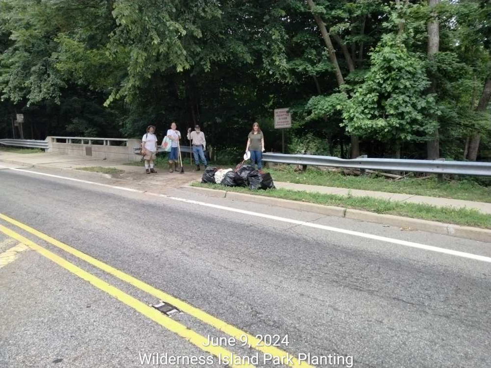 Various pictures of Wilderness Park getting cleaned up on June 9, 2024