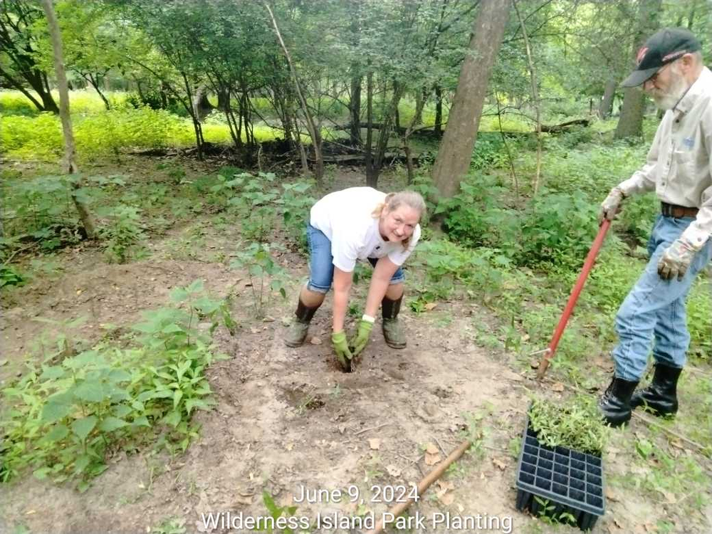 Various pictures of Wilderness Park getting cleaned up on June 9, 2024